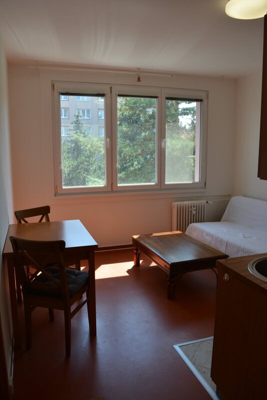 Pronájem zařízeného bytu 2+kk, 36 m2, balkón, Puklicova ul., České Budějovice