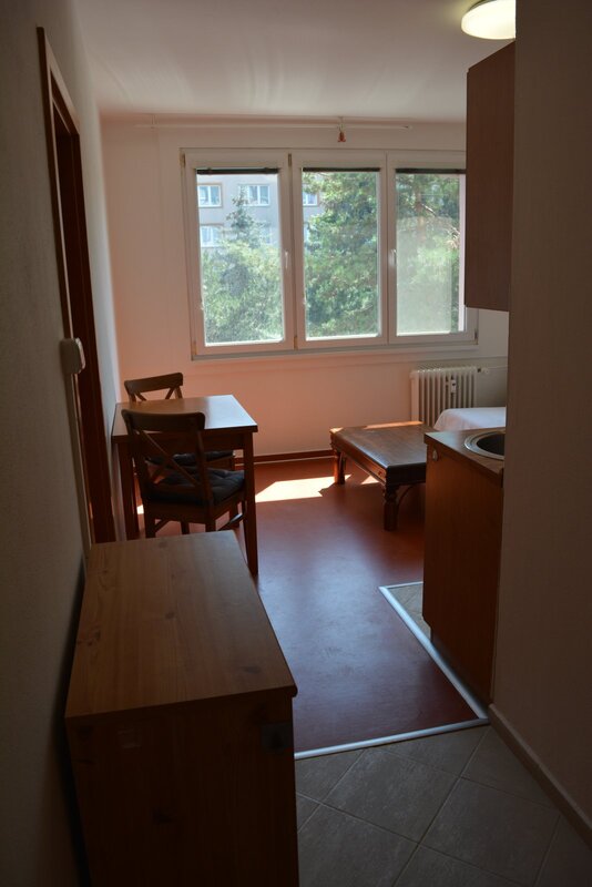 Pronájem zařízeného bytu 2+kk, 36 m2, balkón, Puklicova ul., České Budějovice