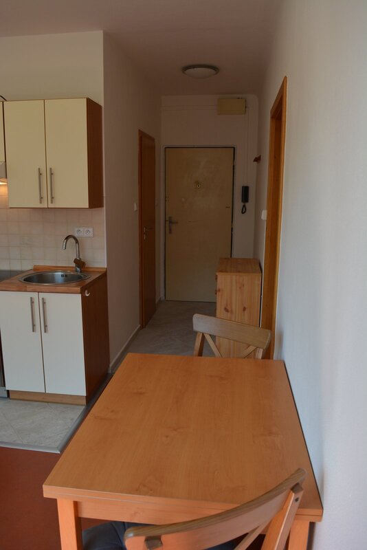 Pronájem zařízeného bytu 2+kk, 36 m2, balkón, Puklicova ul., České Budějovice